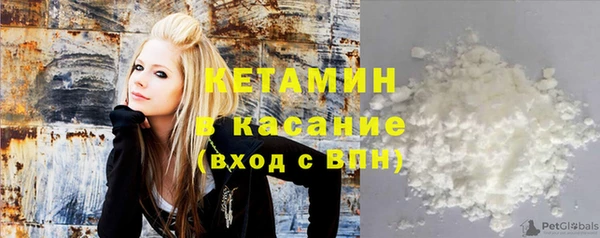 хмурый Аркадак