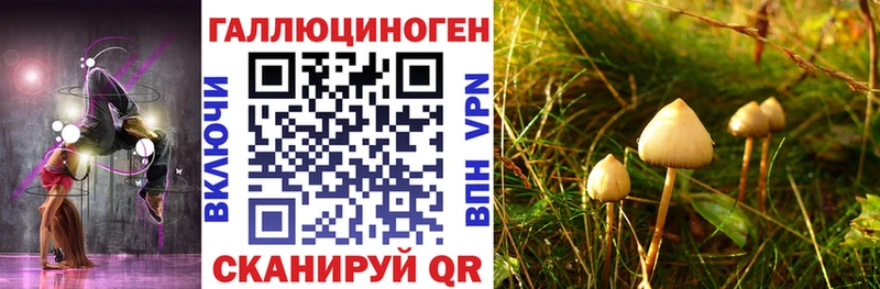 Галлюциногенные грибы GOLDEN TEACHER  гидра зеркало  Армавир 